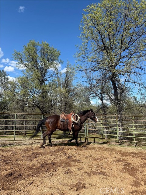 Detail Gallery Image 59 of 74 For 18020 Benson Rd, Cottonwood,  CA 96022 - 3 Beds | 3 Baths