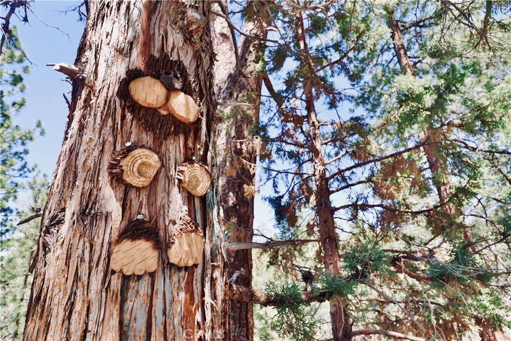 https://media.crmls.org/medias/005643e0-f5cc-4be8-ab06-07e50e012118.jpg?preset=X-Large