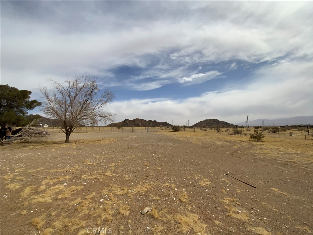 MLS #DW25054096 image #6