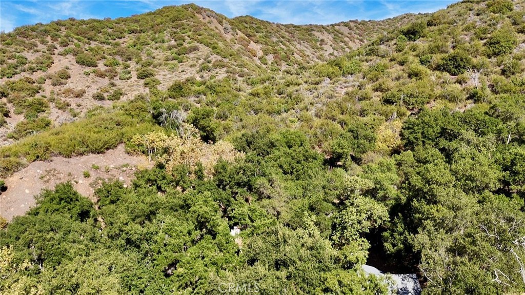 MLS #HD25242085 image #12