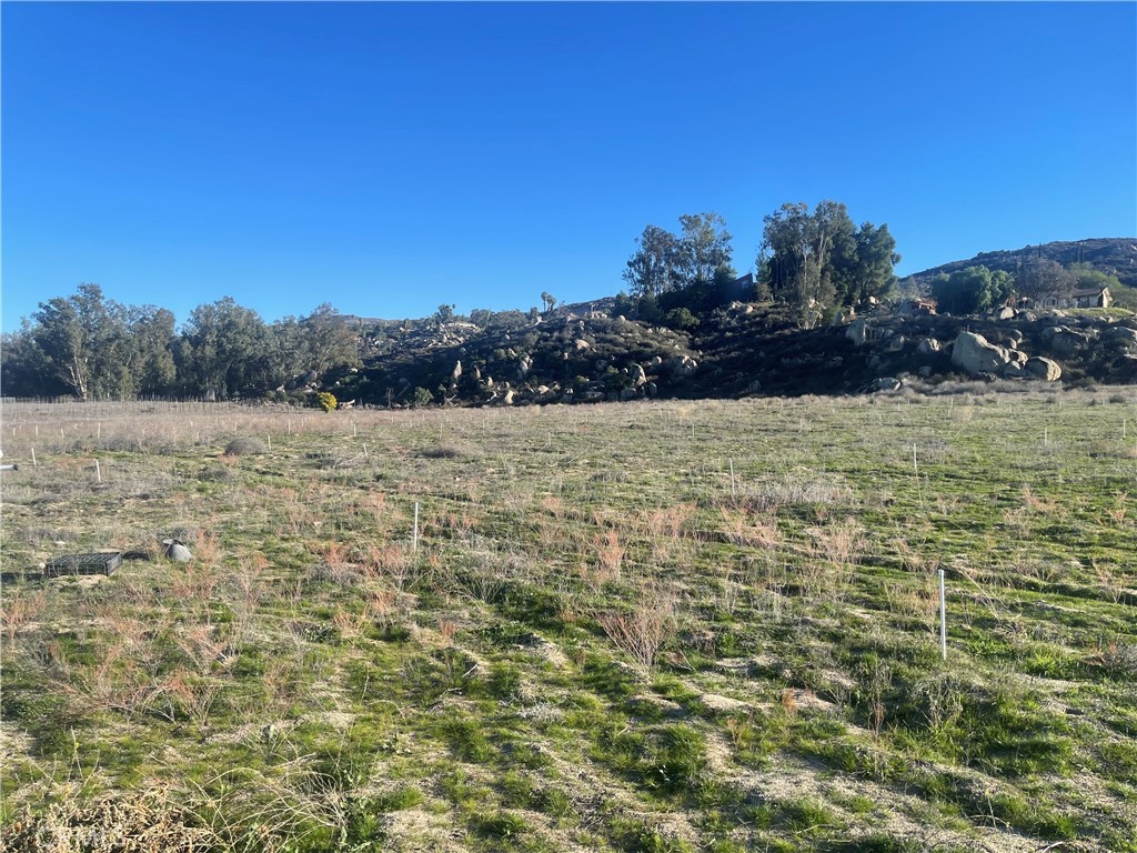 MLS #WS25276306 image #6