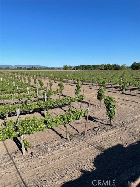 Detail Gallery Image 3 of 26 For 4150 Gaddy Ln, Kelseyville,  CA 95451 - – Beds | – Baths