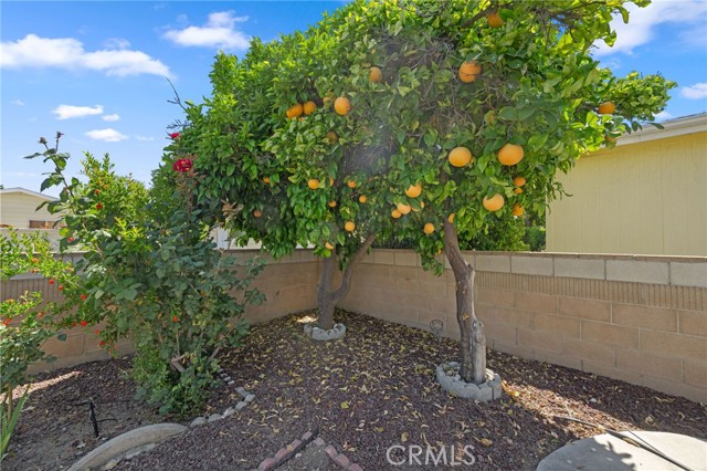 Detail Gallery Image 38 of 49 For 2755 Jacaranda Way, Hemet,  CA 92545 - 2 Beds | 2 Baths