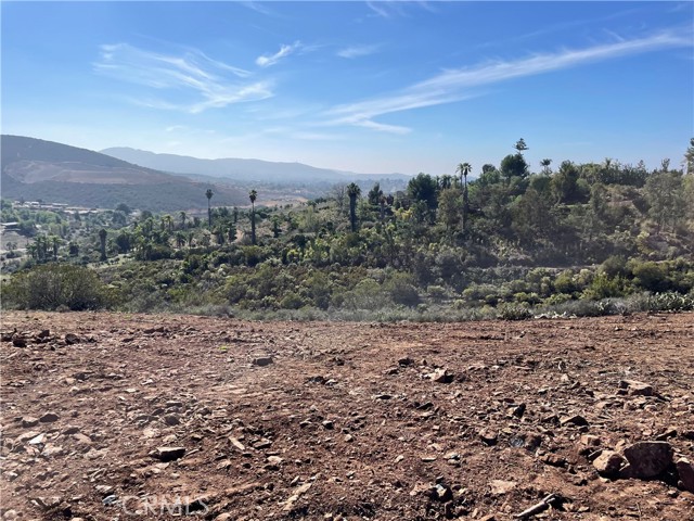 1624 Siddall Drive, Vista CA: https://media.crmls.org/medias/0065d7a6-3520-4dfa-9868-5c94f0eb01f9.jpg