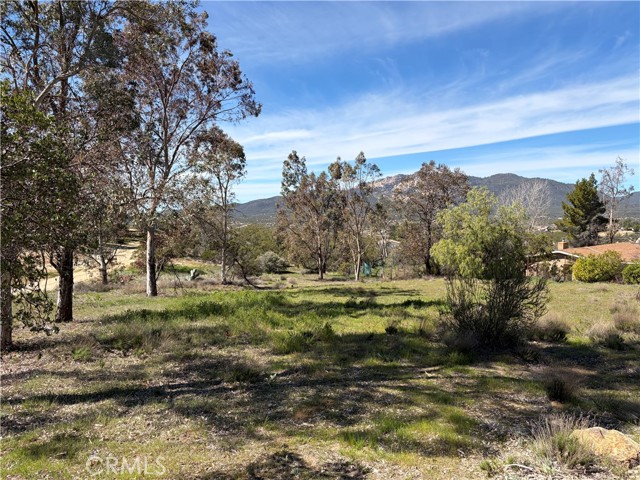 Detail Gallery Image 3 of 60 For 39175 Boulder Dr, Anza,  CA 92539 - 3 Beds | 2 Baths