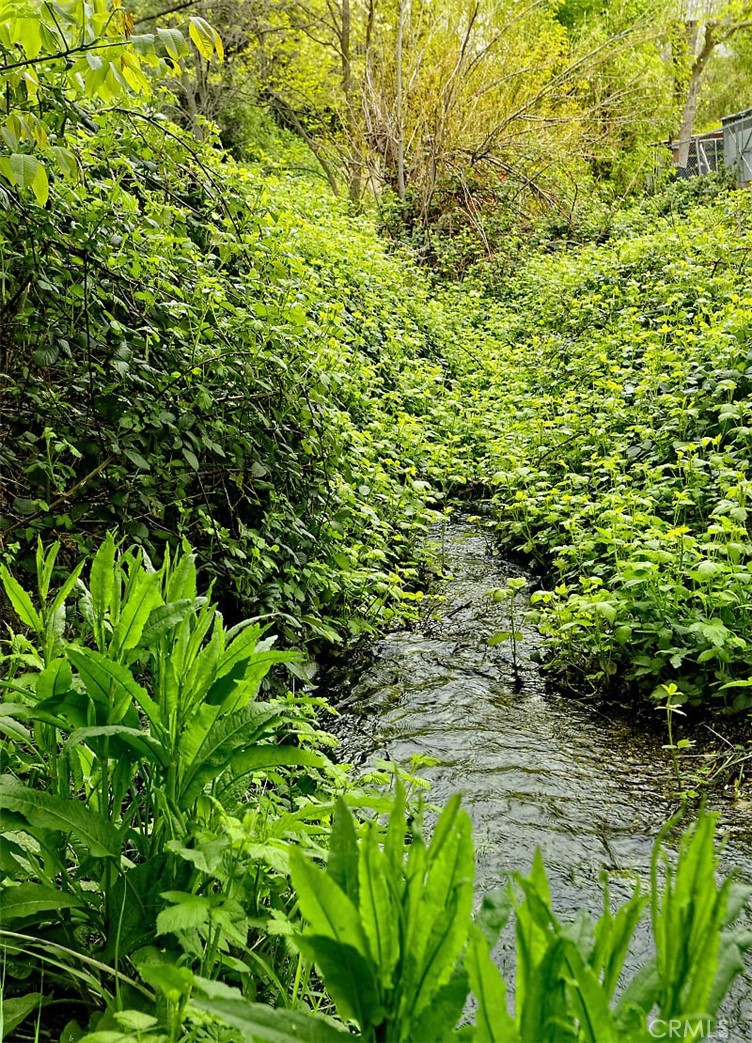 https://media.crmls.org/medias/006801b9-d625-4a80-8f21-046e0d44be39.jpg?preset=X-Large