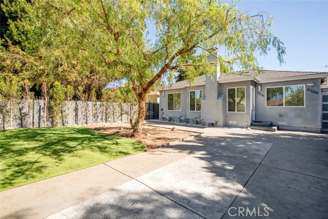 6206 Camellia