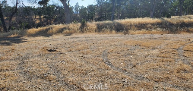 Detail Gallery Image 8 of 11 For 15687 Stagecoach, Corning,  CA 96021 - – Beds | – Baths