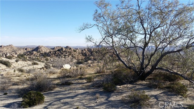 Detail Gallery Image 1 of 1 For 0 Tortoise Wash Rd, Pioneertown,  CA 92268 - – Beds | – Baths