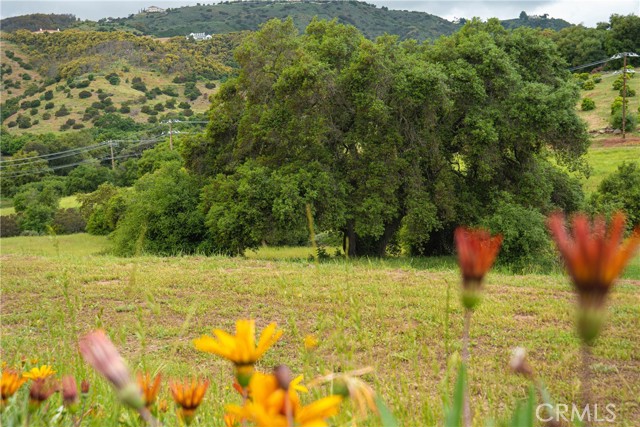 Detail Gallery Image 4 of 6 For 6 Camino Estribo / via Tornado, Temecula,  CA 92590 - – Beds | – Baths