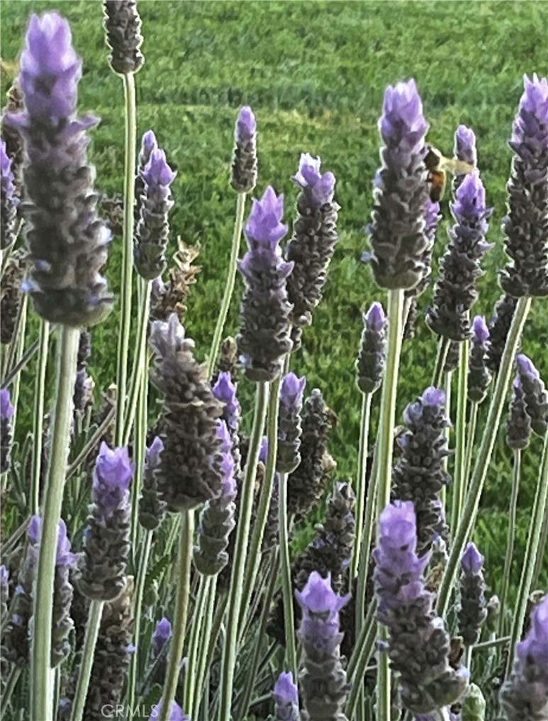 https://media.crmls.org/medias/009bbb42-7e1b-4e38-a6ec-3356f86d6932.jpg?preset=X-Large