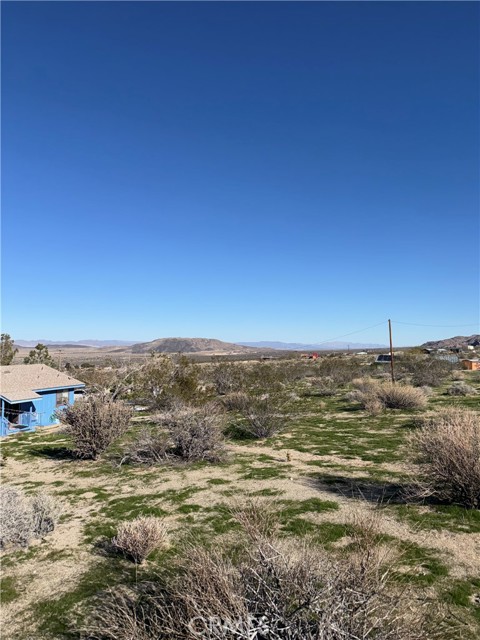 Detail Gallery Image 42 of 57 For 7117 Bonita, Joshua Tree,  CA 92252 - 3 Beds | 2 Baths