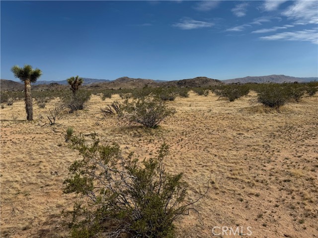 Detail Gallery Image 8 of 32 For 0 Japatul Rd, Apple Valley,  CA 92307 - – Beds | – Baths