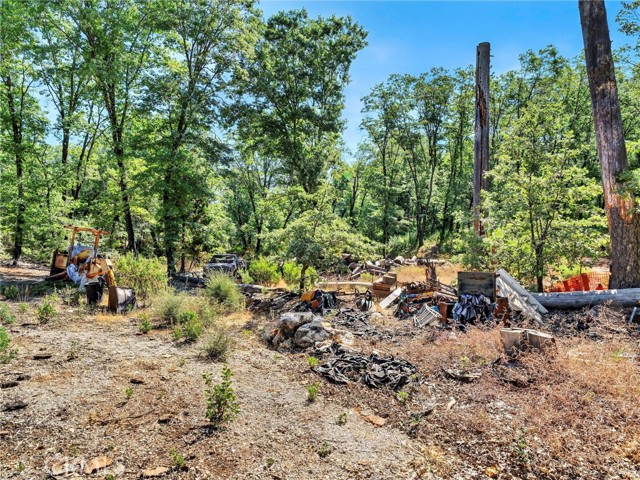 10182 Diener Drive, Kelseyville CA: https://media.crmls.org/medias/00a1cdcd-03c2-4792-a1c1-9e29aac3e0ba.jpg