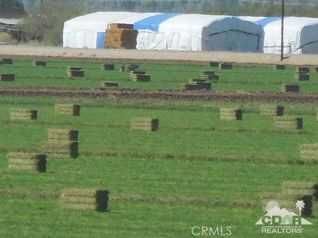 MLS #216029032DA image #6