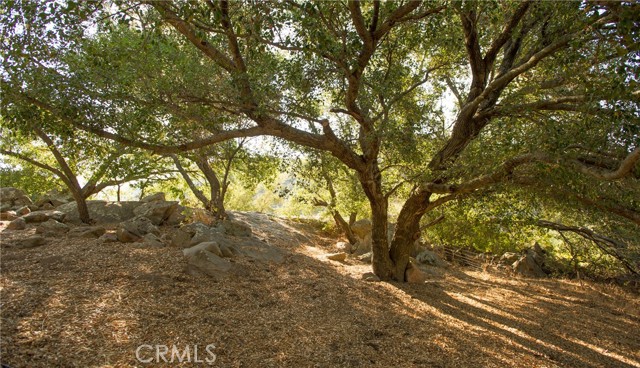 Detail Gallery Image 70 of 75 For 12145 Twin Springs Rd, Descanso,  CA 91916 - 4 Beds | 2 Baths