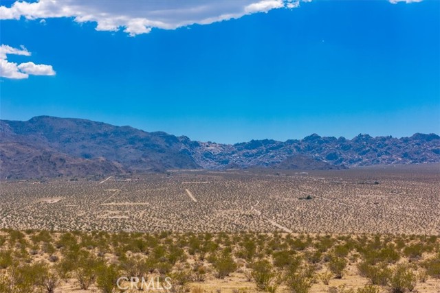 MLS #JT25263725 image #14