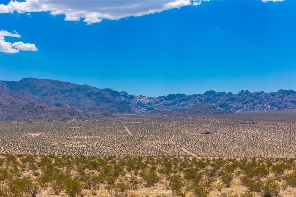 MLS #JT25263725 image #14