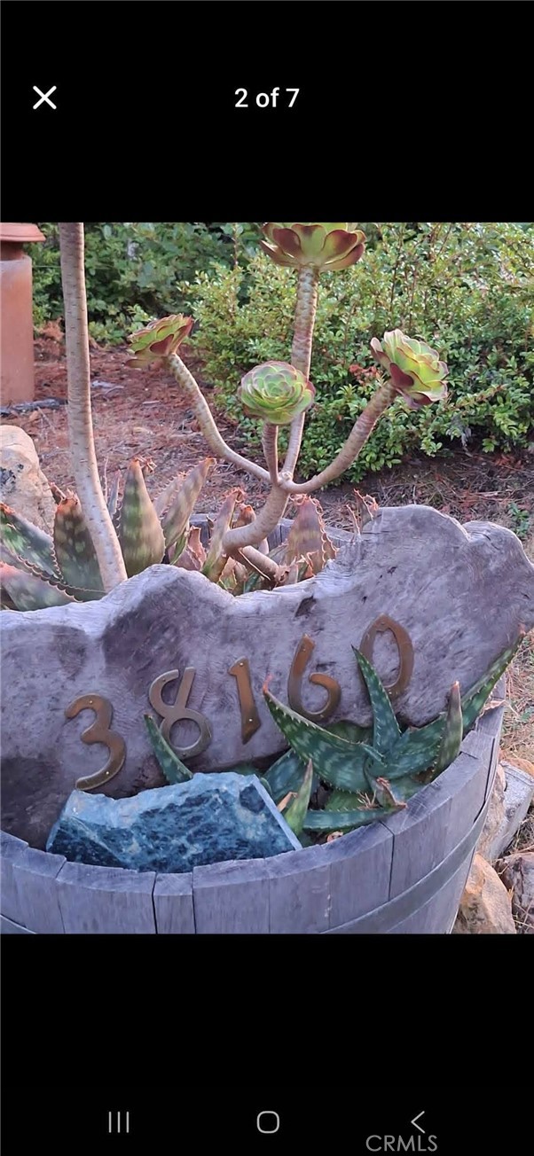 Detail Gallery Image 22 of 58 For 38160 Ocean Ridge Dr, Gualala,  CA 95445 - – Beds | – Baths