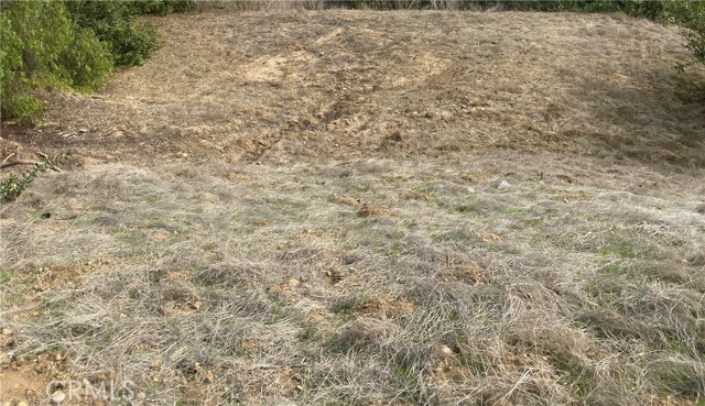 Front Image Thumbnail for CRPW25276230