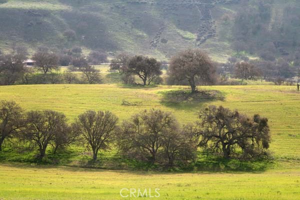 Image 15 of 59 For 3470 Ranchita Cyn Rd