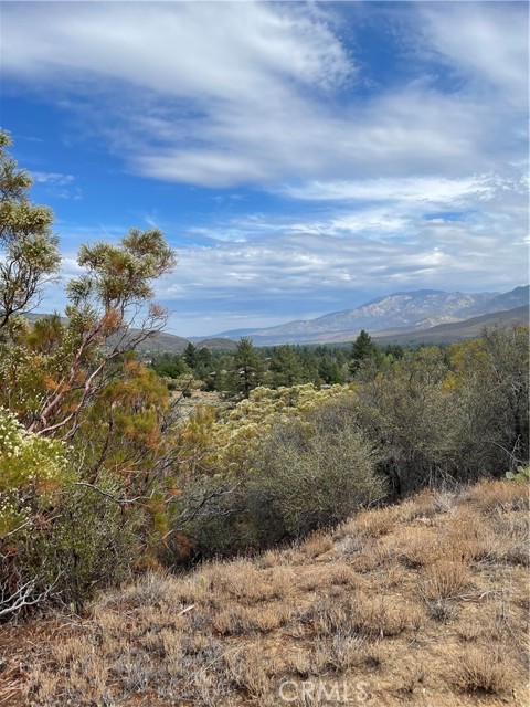 2 Goldshot Creek Road, Mountain Center, California 92561, ,Land,For Sale,2 Goldshot Creek Road,CRSW22171999