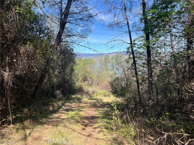 Detail Gallery Image 3 of 5 For 6189 Soda Bay, Kelseyville,  CA 95451 - – Beds | – Baths