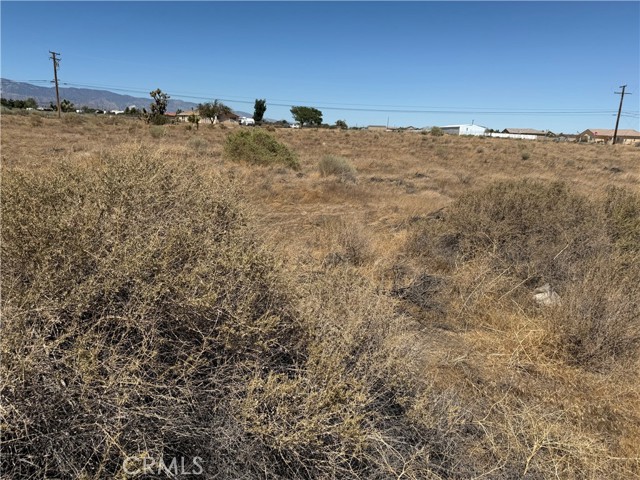 9875 Braceo Street, Oak Hills CA: https://media.crmls.org/medias/00bb134e-6a15-473b-b7a7-dca7ecaa7ca2.jpg
