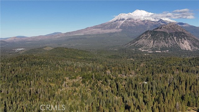 Detail Gallery Image 6 of 22 For 0 Muledeer Rd., Weed,  CA 96094 - – Beds | – Baths