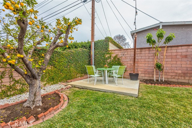 Backyard with lemon tree and young mango tree