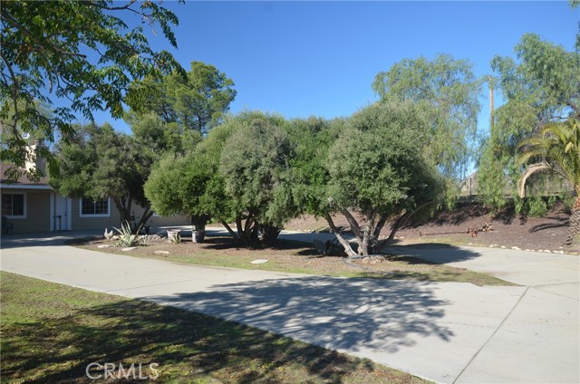 Detail Gallery Image 25 of 35 For 34100 Sugar Loaf, Nuevo,  CA 92567 - 3 Beds | 3 Baths