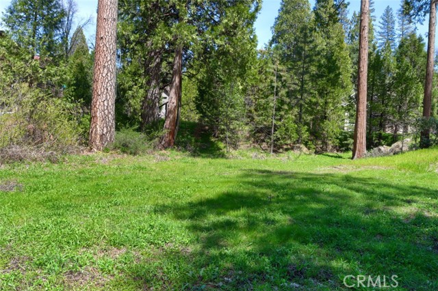 Detail Gallery Image 18 of 30 For 0 Dogwood Creek Dr, Bass Lake,  CA 93604 - – Beds | – Baths