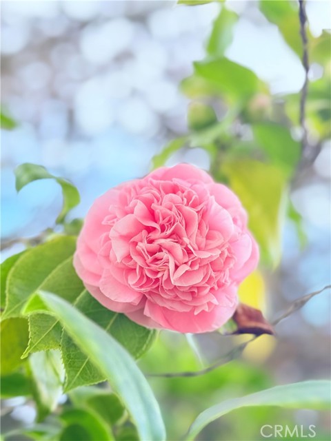 Detail Gallery Image 40 of 50 For 22141 Comanche, Lake Forest,  CA 92630 - 4 Beds | 2/1 Baths