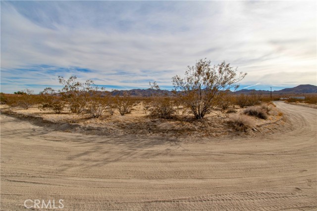 Detail Gallery Image 14 of 15 For 6425 Sun Ray Rd, Joshua Tree,  CA 92252 - – Beds | – Baths