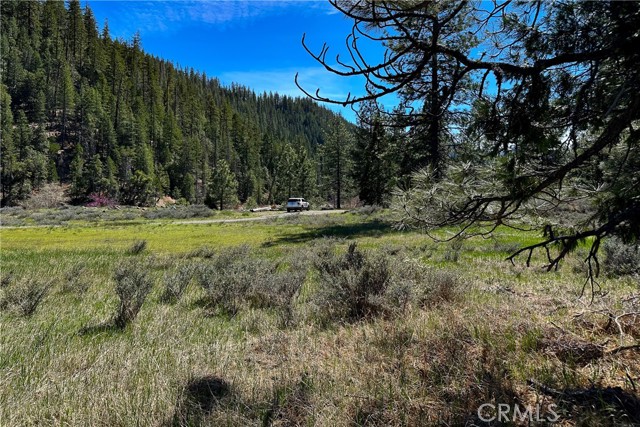 Detail Gallery Image 28 of 35 For 79402 State Highway 3, Trinity Center,  CA 96091 - – Beds | – Baths