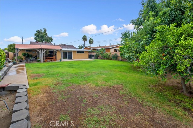 00e29b91 1032 45f2 875a 9d1b9d35ca3e