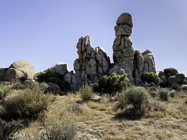 Detail Gallery Image 48 of 63 For 5564 Old Woman Springs Rd, Yucca Valley,  CA 92284 - 2 Beds | 1 Baths