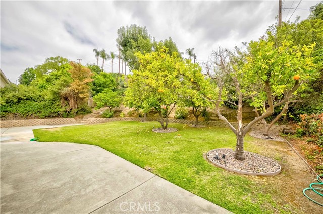 706 Nancy Lane, Fullerton CA: https://media.crmls.org/medias/00f15a43-d0bd-427c-aa0c-2c459f5e371d.jpg