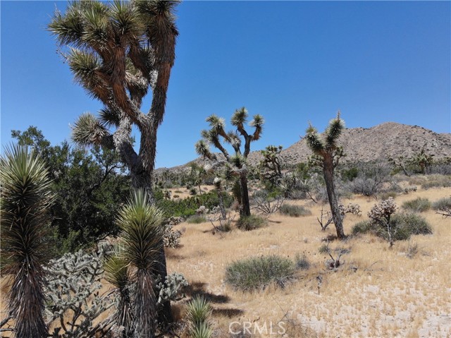 0 Yucca Trail, Yucca Valley, California 92284, ,Land,For Sale,0 Yucca Trail,CRJT23101215