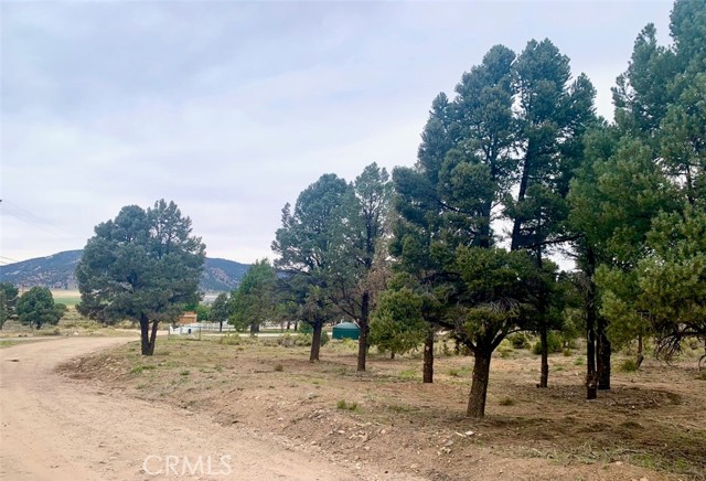 0 Minnow Lane, Other - See Remarks, California 92314, ,Land,For Sale,0 Minnow Lane,CRSB23184407