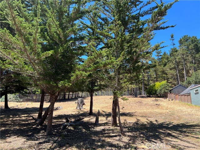 0 Warren Road, Cambria CA: https://media.crmls.org/medias/0104fe05-d18b-40df-98bc-4daef0f60ab4.jpg