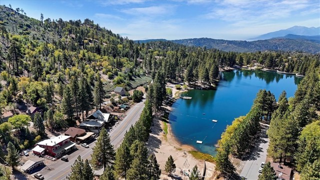 33037 Canyon Drive, Green Valley Lake, California 92341, 4 Bedrooms Bedrooms, ,2 BathroomsBathrooms,Residential,For Sale,33037 Canyon Drive,CRIG24183674