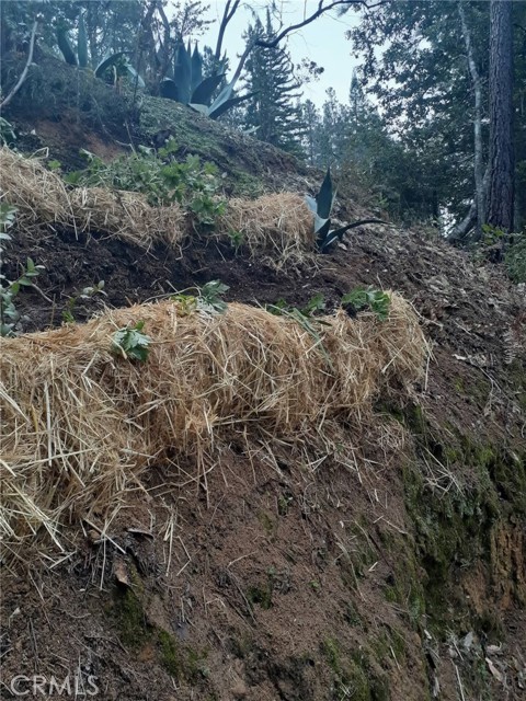 Detail Gallery Image 33 of 58 For 38160 Ocean Ridge Dr, Gualala,  CA 95445 - – Beds | – Baths