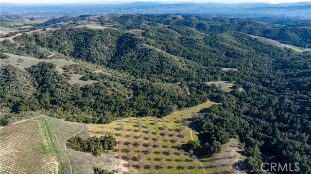 Detail Gallery Image 18 of 36 For 0 Adelaida Road, Paso Robles,  CA 93446 - – Beds | – Baths