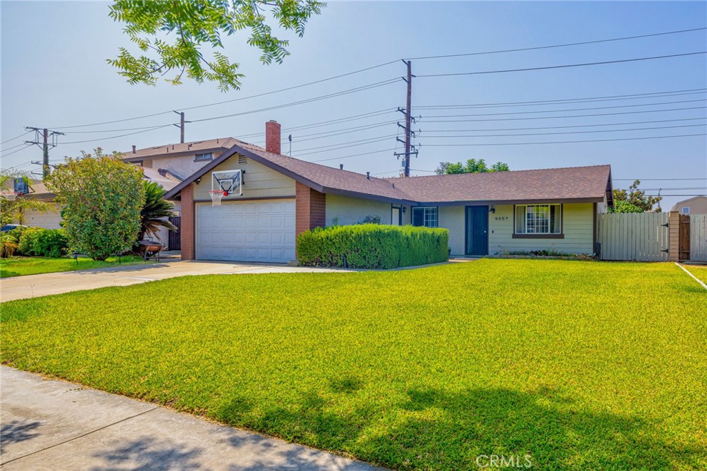 9557 Meadow Street