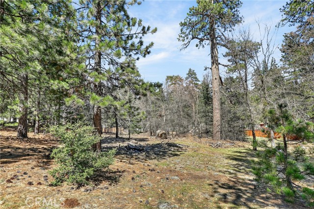 Detail Gallery Image 14 of 23 For 0 Cepu Rd, Running Springs,  CA 92382 - – Beds | – Baths