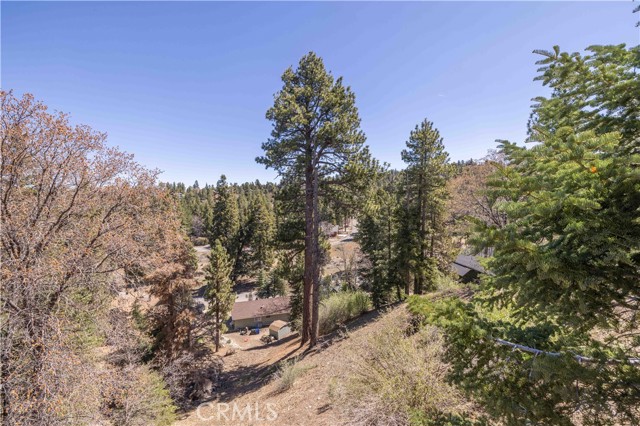 Detail Gallery Image 40 of 43 For 43418 Ridge Crest Dr, Big Bear Lake,  CA 92315 - 2 Beds | 2 Baths