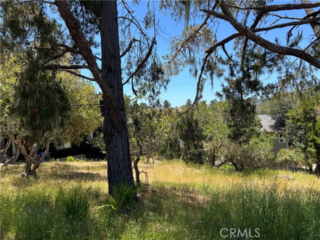 Detail Gallery Image 4 of 10 For 0 Alban Pl, Cambria,  CA 93428 - – Beds | – Baths