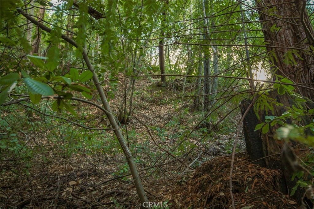 MLS #OC25221127 image #7