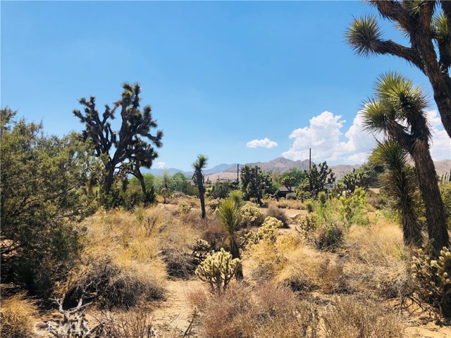 1 Jemez, Yucca Valley, CA, 92284 1 Jemez, Yucca Valley, CA, 92284